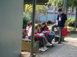 iv-eec