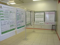 iv-eec